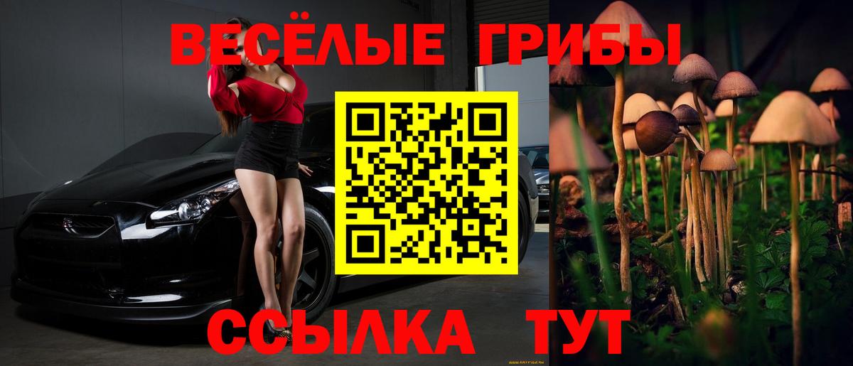 Псилоцибиновые грибы Psilocybine cubensis Гусев