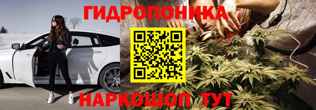 Каннабис White Widow Гусев